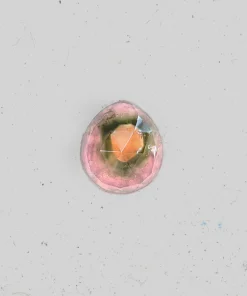 Aphenos Tourmaline Ring Stone 66
