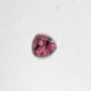 Cosmic Light Sapphire Ring Stone 15