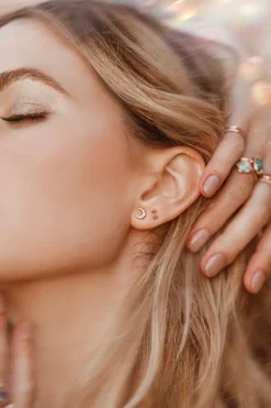 Crescent Disc Earrings