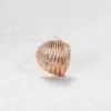 Sandy Shell Earring