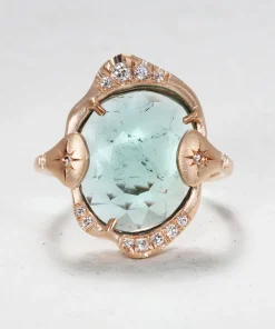 The Salton Sea Ring