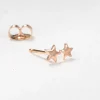 Two Twinkling Star Earring