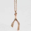 Wishbone of Light Necklace